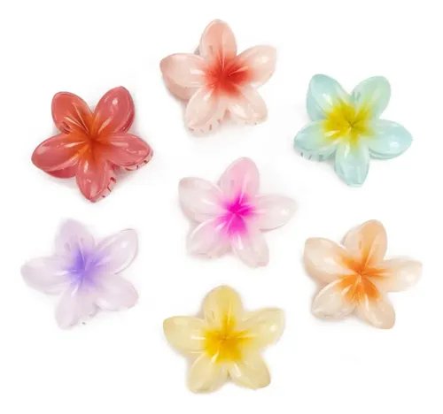 Pince pour cheveux femme