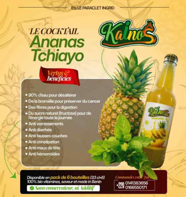 Jus Ananas Tchayo 33cL