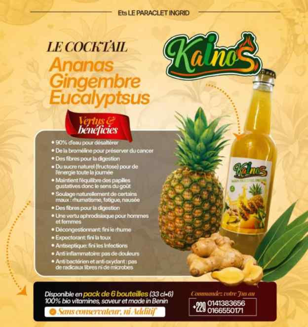 Jus Ananas Gingembre Eucalyptus 33cL