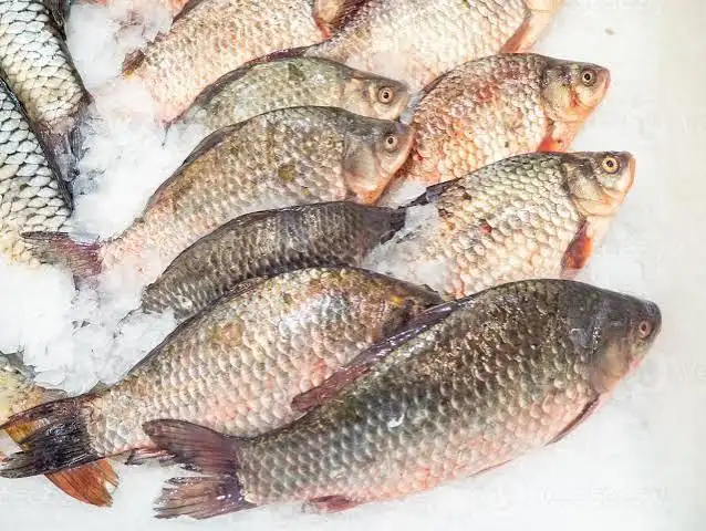 Carpe 1Kg