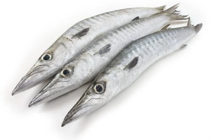 Poisson Barracuda