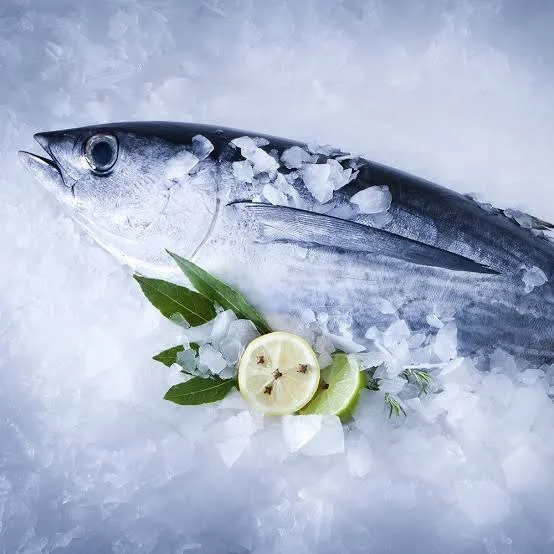Poisson Thon Royal