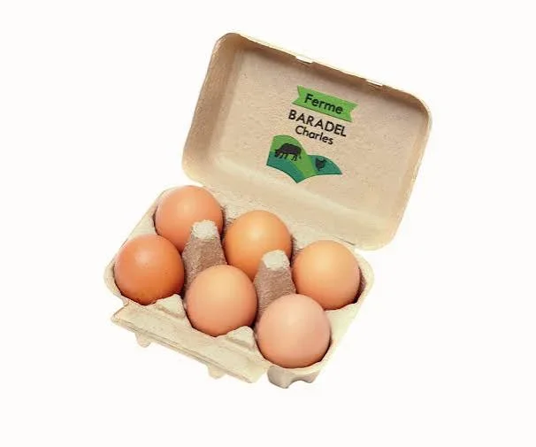Œuf de Poulet